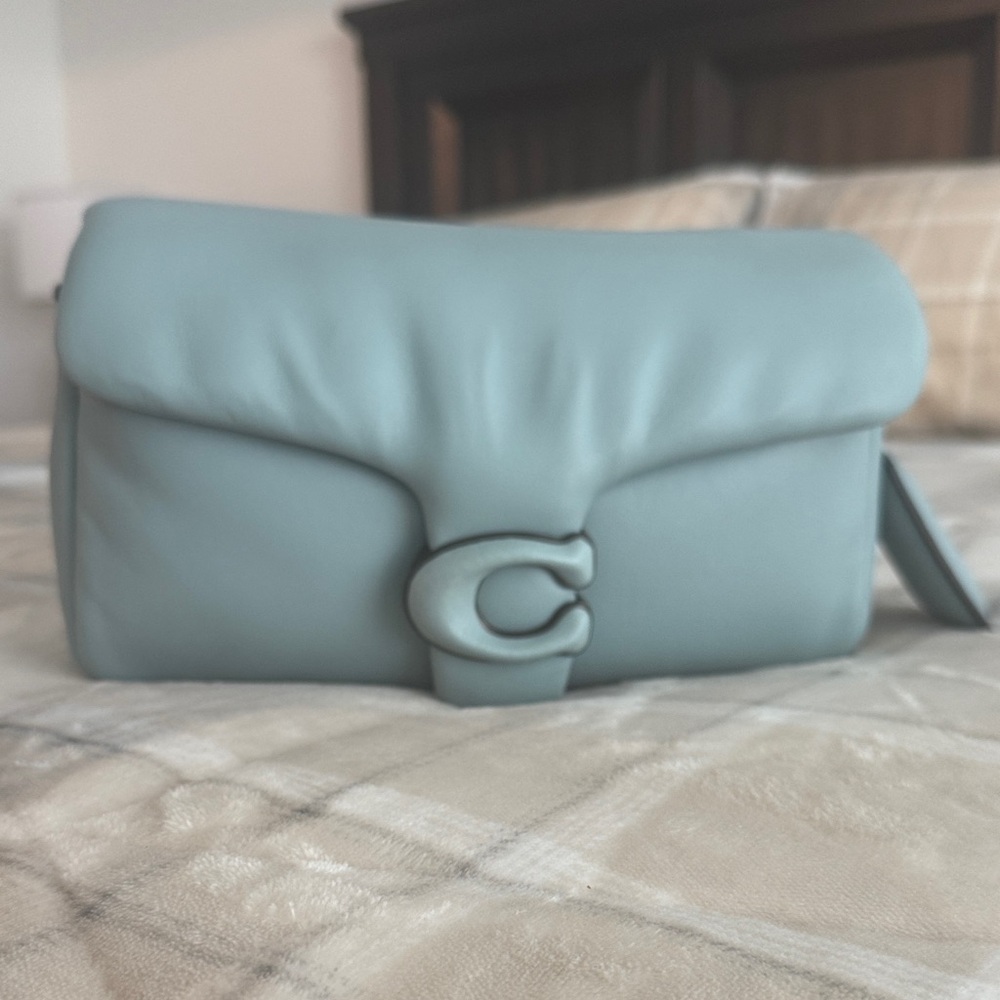 Coach Pillow Tabby 26